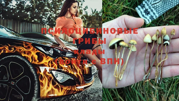 гашик Навашино