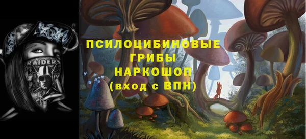 гашик Навашино