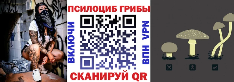Купить закладки  Ядрин  Псилоцибиновые грибы Psilocybine cubensis 