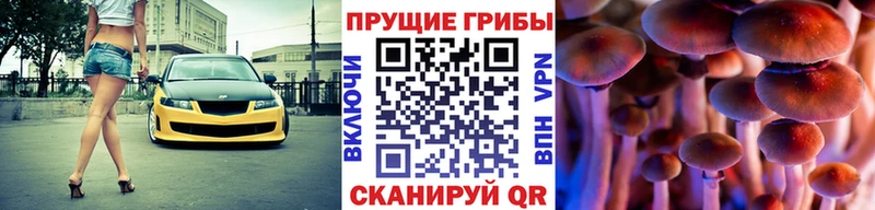 Галлюциногенные грибы MAGIC MUSHROOMS Ядрин